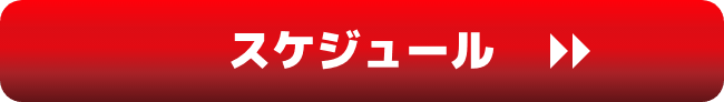 スケジュール
